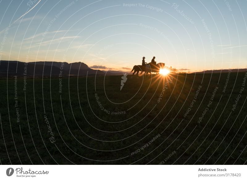 Mann und Frau auf Pferden schön Freude professionell Erholung Landschaft Bauernhof Abenddämmerung Aktion Ranch Lifestyle Rückansicht horizontal Sonnenuntergang