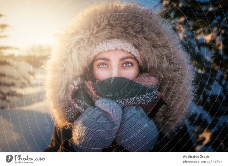 Junge Frau lächelnd auf verschneitem Hintergrund lachen Freude Schnee attraktiv Jugendliche Wärme Bekleidung Pelzmantel Baum Konifere Winter Glück Fröhlichkeit
