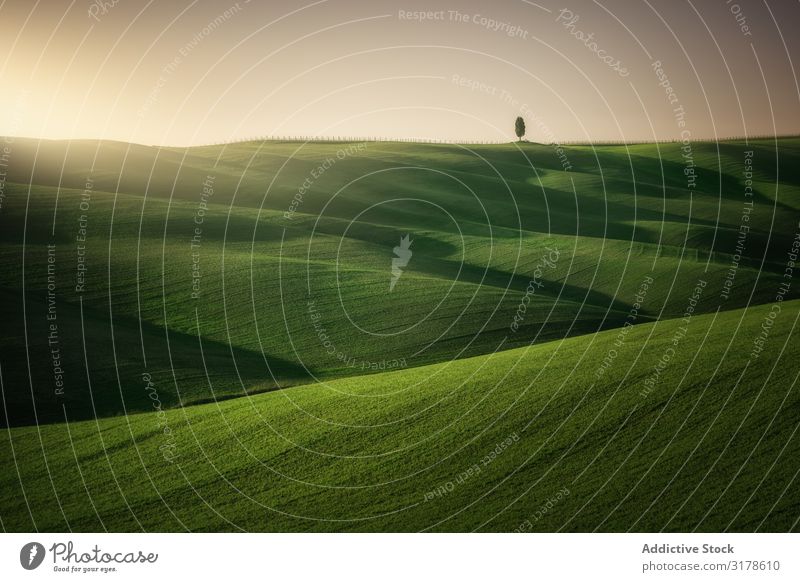 Wunderschöne leere grüne Felder Panorama (Bildformat) Toskana Mittelgebirge Italien Unendlichkeit Gras Hügel Landschaft Natur Länder Jahreszeiten Sommer Wiese