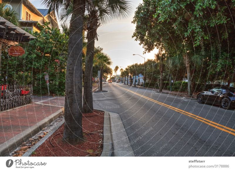 Sonnenaufgang über der Flagler Avenue in New Smyrna Beach, Florida. Ferien & Urlaub & Reisen Ausflug Stadt Altstadt Straße Gesellschaft (Soziologie) Fahrbahn
