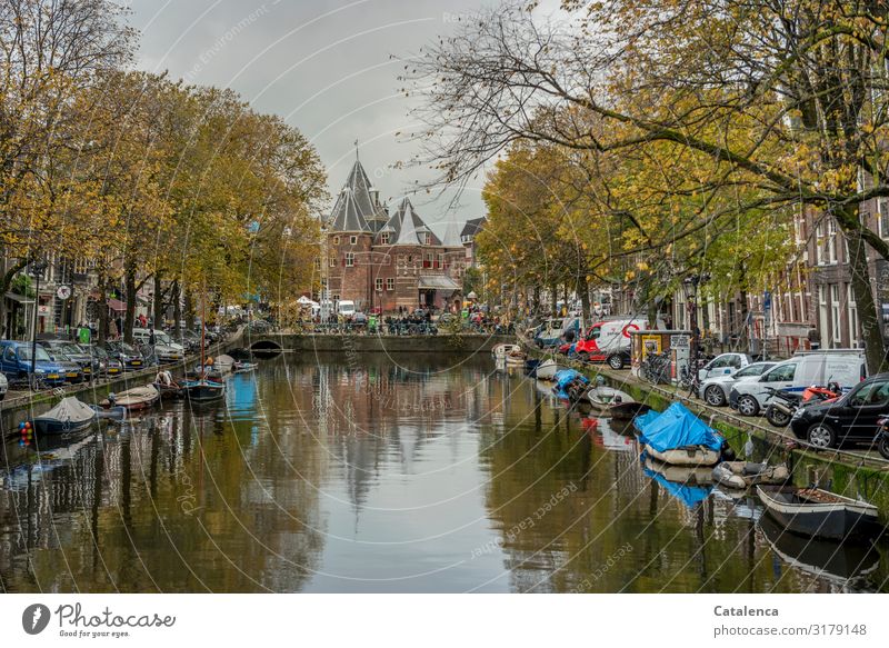 November in Amsterdam, Blick auf eine Gracht Landschaft Pflanze Himmel Wolken Herbst schlechtes Wetter Baum Niederlande Stadt Altstadt bevölkert Haus Kirche