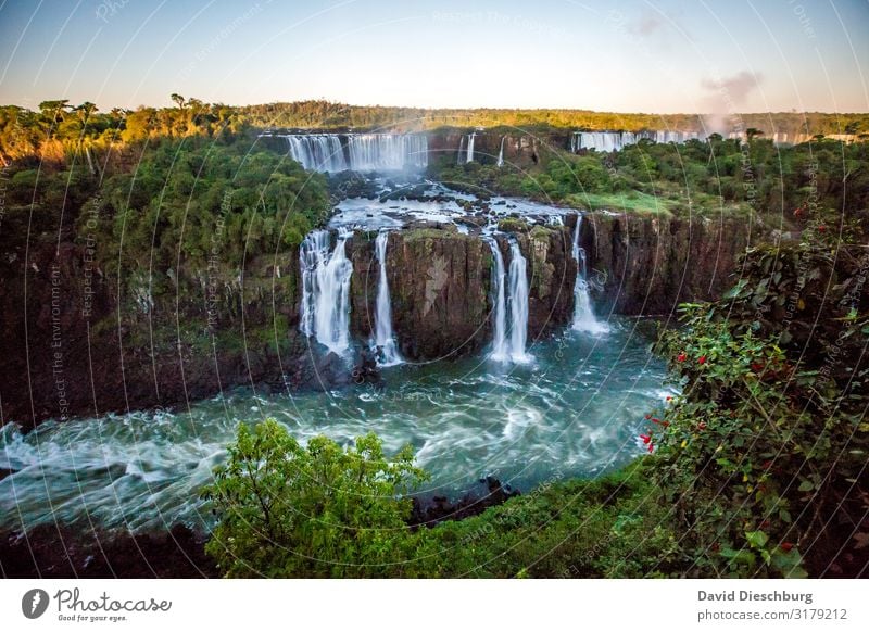Iguazu Ferien & Urlaub & Reisen Tourismus Abenteuer Ferne Expedition Natur Landschaft Pflanze Tier Wasser Wolkenloser Himmel Schönes Wetter Baum Urwald Fluss