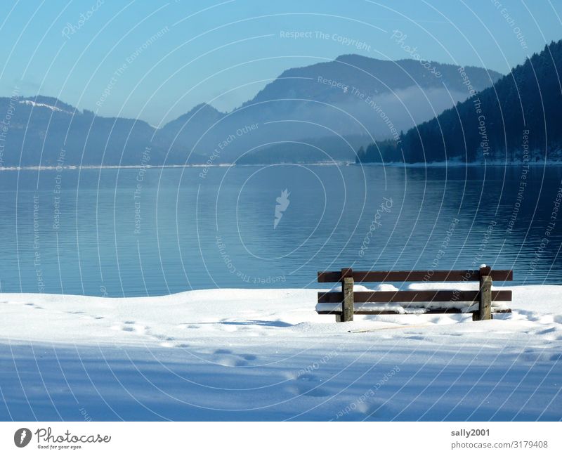 Winteraussicht... Landschaft Wolkenloser Himmel Schönes Wetter Schnee Alpen Seeufer Walchensee Bank beobachten sitzen frei hell natürlich Einsamkeit Erholung