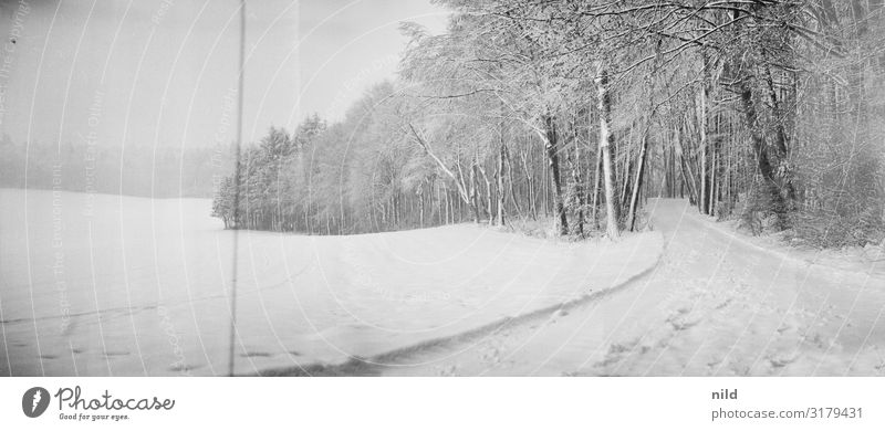 Verschneites Winterpanorama Panorama Weitwinkel Schnee verschneite Schneise Wege & Pfade Wald weiß Außenaufnahme kalt Natur Querformat Schwarzweißfoto Ilford
