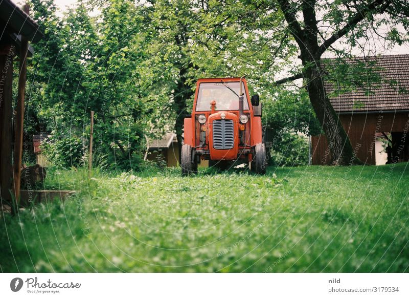 Alter Traktor im grünen Landwirtschaft Bauernhof landwirtschaftlich Maschine ländlich Gerät Oldtimer Slovenien Natur Analogfoto Kodak