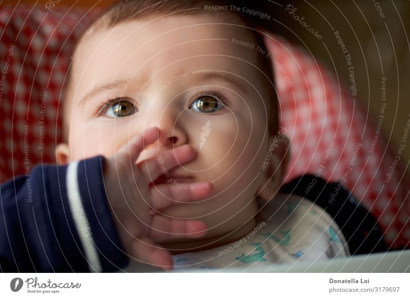 Porträt eines kleinen Jungen Lifestyle schön Kind Mensch maskulin Baby Kopf 1 0-12 Monate Diät beobachten füttern Babyjunge Kaukasier expressiv Auge heimwärts