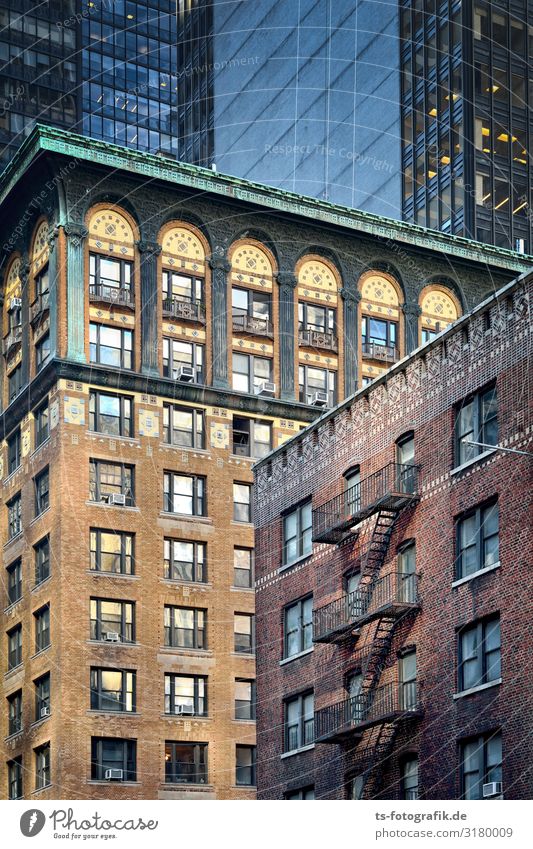 Miethai im Mietbrei New York City Manhattan USA Stadt Stadtzentrum Menschenleer Haus Hochhaus Turm Bauwerk Gebäude Architektur Mauer Wand Fassade Fenster Dach