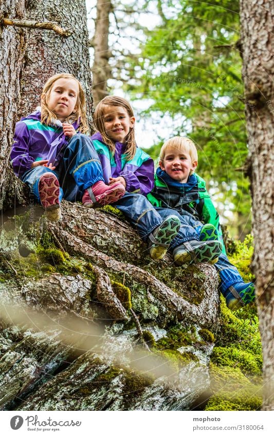 Drei Kinder im Wald, Portrait Glück Zufriedenheit Spielen Ferien & Urlaub & Reisen Ausflug Berge u. Gebirge wandern Mädchen Junge Geschwister Bruder Schwester