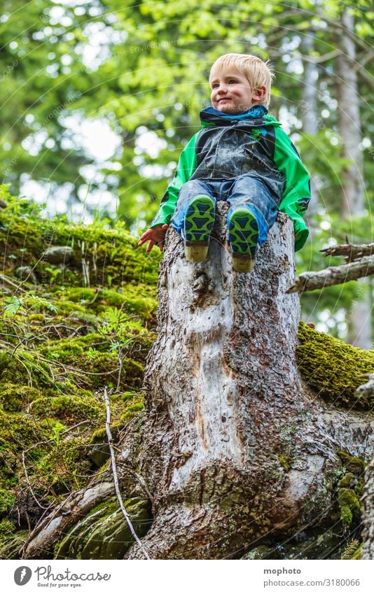 Abenteuer im Wald #2 Glück Zufriedenheit Spielen Ferien & Urlaub & Reisen Ausflug Berge u. Gebirge wandern Kindergarten Junge Kindheit 1 Mensch 1-3 Jahre