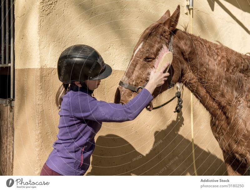 Frau treibts mit pferd