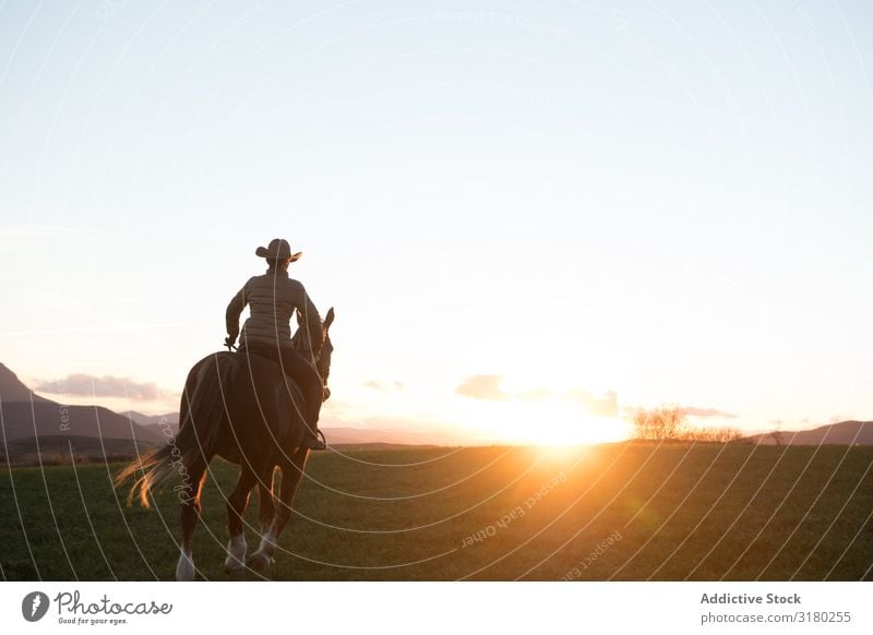 Mann und Frau auf Pferden schön Freude professionell Erholung Landschaft Bauernhof Abenddämmerung Aktion Ranch Lifestyle Rückansicht horizontal Sonnenuntergang