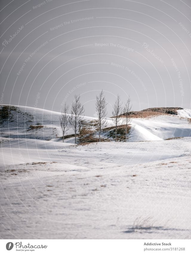 Verschneite Berge, die den Nebel bedecken. Hügel Schnee deckend Bevorratung Ferien & Urlaub & Reisen Tourismus Natur Island Landschaft schön natürlich