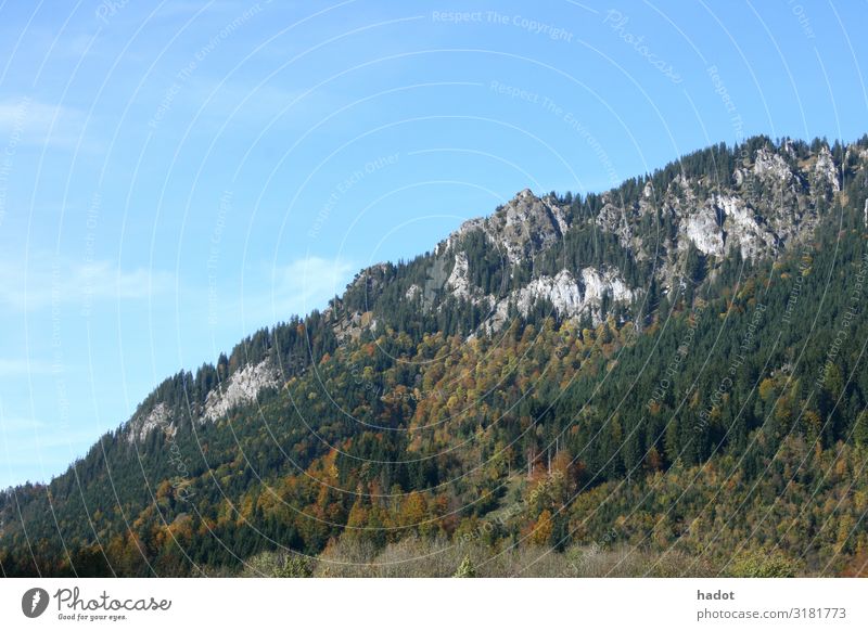 Felsenlandschaft Erholung Freizeit & Hobby Berge u. Gebirge wandern Klettern Bergsteigen Natur Landschaft Herbst Wald Schlucht Stein blau grün Mountains rocks