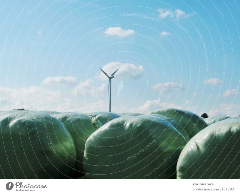 Silage Landwirtschaft Forstwirtschaft Fortschritt Zukunft Windkraftanlage Silo Umwelt Natur Luft Himmel nachhaltig Umweltschutz Farbfoto