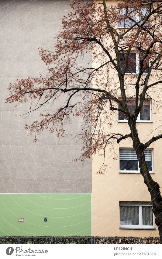 In der HOOD Berlin Hauptstadt Stadtrand Haus Hochhaus Gebäude Mauer Wand Fassade Häusliches Leben trist ästhetisch Trauer Verfall Vergangenheit Plattenbau Baum