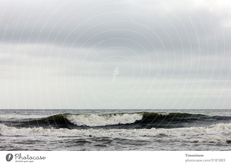 Nordsee, Himmel und dunkle Welle Wellengang Wasser Gischt Dänemark Wolken Menschenleer Außenaufnahme Natur Urelemente blau weiß grau schwarz Horizont