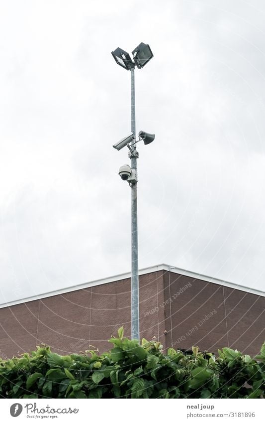 I spy -II- Videokamera Überwachungskamera Hecke Fassade beobachten gruselig hoch Neugier Stadt grau grün friedlich Wachsamkeit gewissenhaft Wahrheit Ehrlichkeit