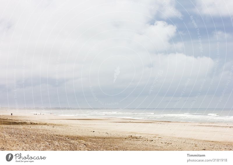 Nordseestrand - Weite und viel Sand in der Luft Dänemark Strand Meer Wasser Küste Wellen Dünen Himmel Wetter Wolken Wind Natur Ferien & Urlaub & Reisen