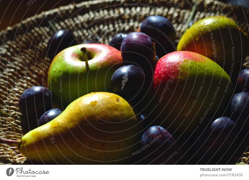 Bio Vitamine: Korb mit Früchten Lebensmittel Frucht Apfel Birne Pflaume Ernährung Bioprodukte Vegetarische Ernährung Diät Sommer Herbst Freundlichkeit