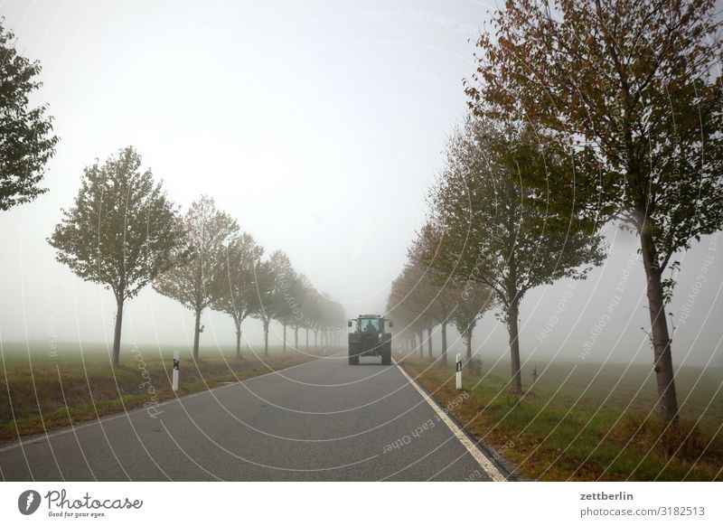 Landstraße mit Trecker Dunst gerade geradeaus Herbst Herbstfärbung Landschaft Menschenleer Morgen Nebel Perspektive Ferne Sonne Straße Textfreiraum Traktor