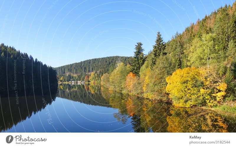 Okerstausee im Herbst Natur Landschaft Wasser Klimawandel Baum Blatt Wald Berge u. Gebirge Harz See Stausee Niedersachsen Deutschland Europa blau mehrfarbig