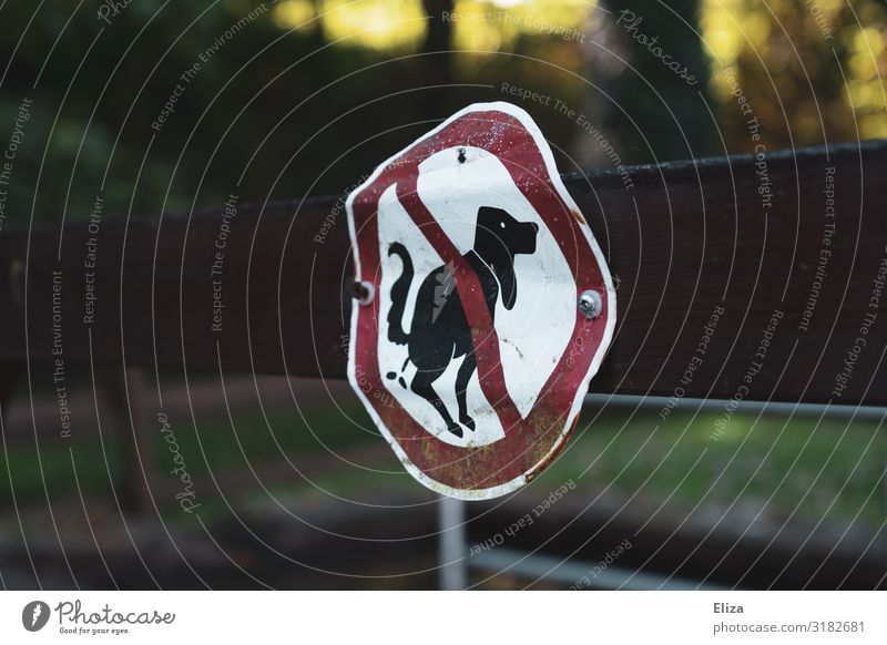 Hundekacke verboten Zeichen Verbote Schilder & Markierungen hundehaltung Kot ungebeten hundehaufen hundeklo Ausscheidungen Wald Natur Spielplatz Farbfoto