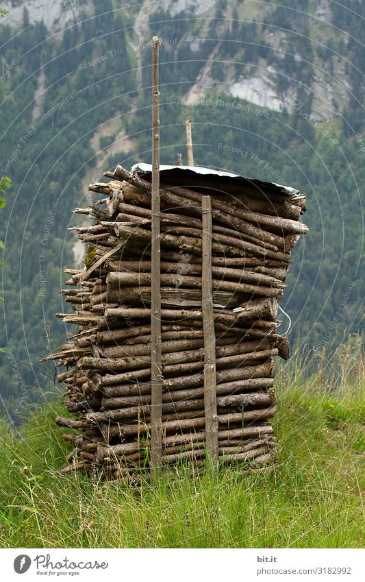 Holzstapel Umwelt Natur Landschaft Alpen Berge u. Gebirge grün Stapel heizen Heizung Heizperiode Ofenheizung Feuer Brennholz Brennstoff Farbfoto Außenaufnahme