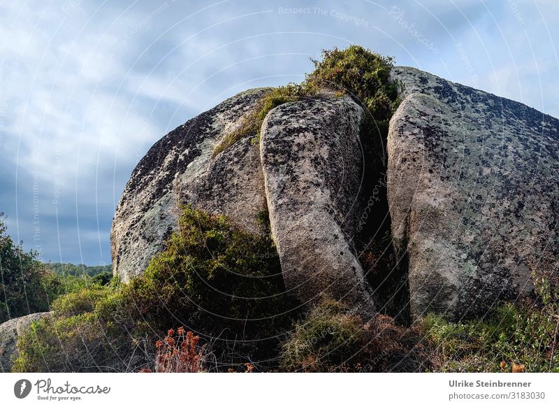 Monolith in Sardinien Geologie Aggius Felsen Stein Tempio Pausania Landschaft Granitlandschaft Valle della Luna Kegel Inselberg Bergkegel Gallura