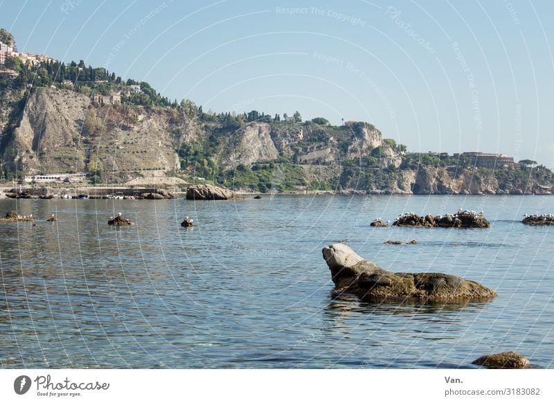 Robbenfelsen Ferien & Urlaub & Reisen Natur Landschaft Wasser Wolkenloser Himmel Schönes Wetter Hügel Felsen Küste Meer Insel Sizilien blau Farbfoto