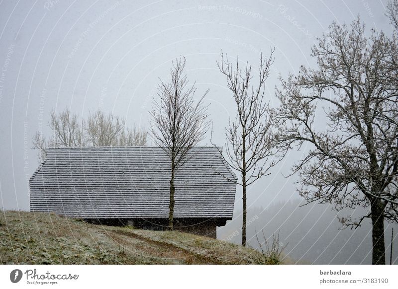 kalter Novembertag im Schwarzwald Landschaft Herbst Winter Nebel Eis Frost Schnee Schneefall Baum Wald Haus Dach grau weiß Stimmung Schutz Geborgenheit Idylle