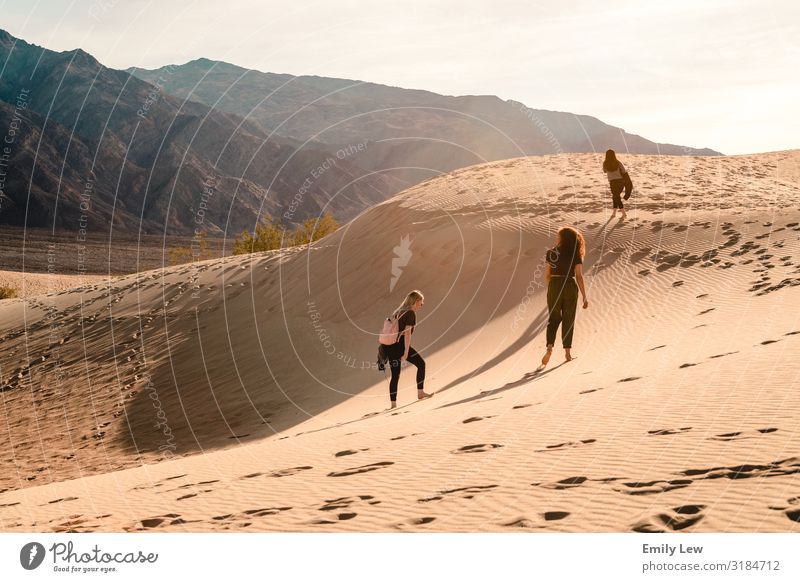 Sanddünen im Death Valley Tal des Todes Fußspuren wüst reisen Fernweh Wanderer wandern erkunden sonniger Tag Landschaft Ferien & Urlaub & Reisen