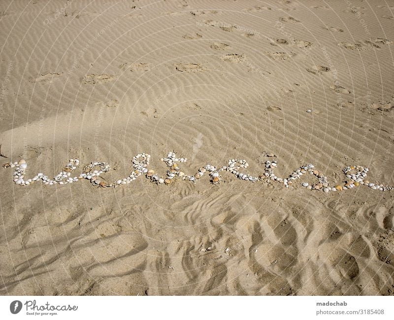 Weltreise - Schriftzug mit Muscheln am Strand Lifestyle Wohlgefühl Erholung ruhig Ferien & Urlaub & Reisen Tourismus Ausflug Ferne Sommer Sommerurlaub Sand