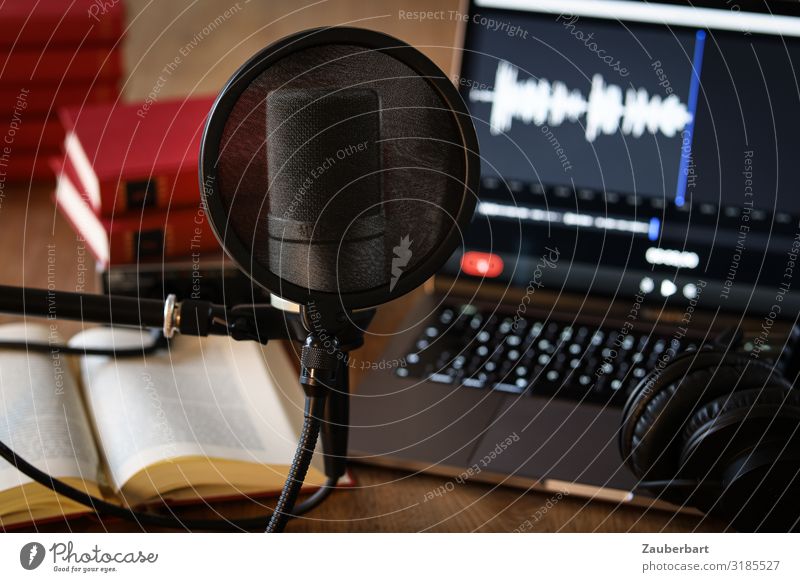 Podcasting / Arbeitsplatz Medienbranche Notebook Kabel Mikrofon Mikrofonkabel Buch Arbeit & Erwerbstätigkeit sprechen grau rot schwarz Optimismus Erfolg Neugier