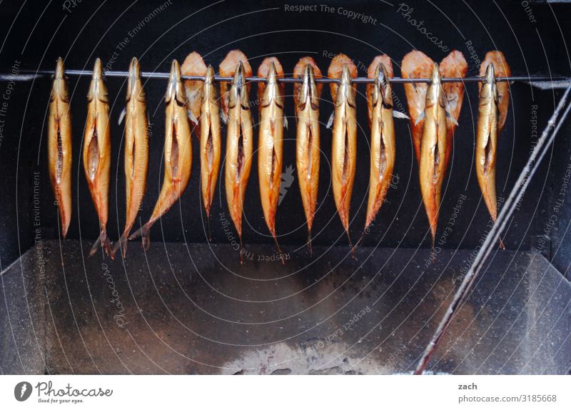 Und danke für den Fisch Lebensmittel Ernährung Abendessen Picknick Sushi Räucherfisch Räucherforelle Räucherlachs geräuchert Räucherofen Tiergruppe Schwarm