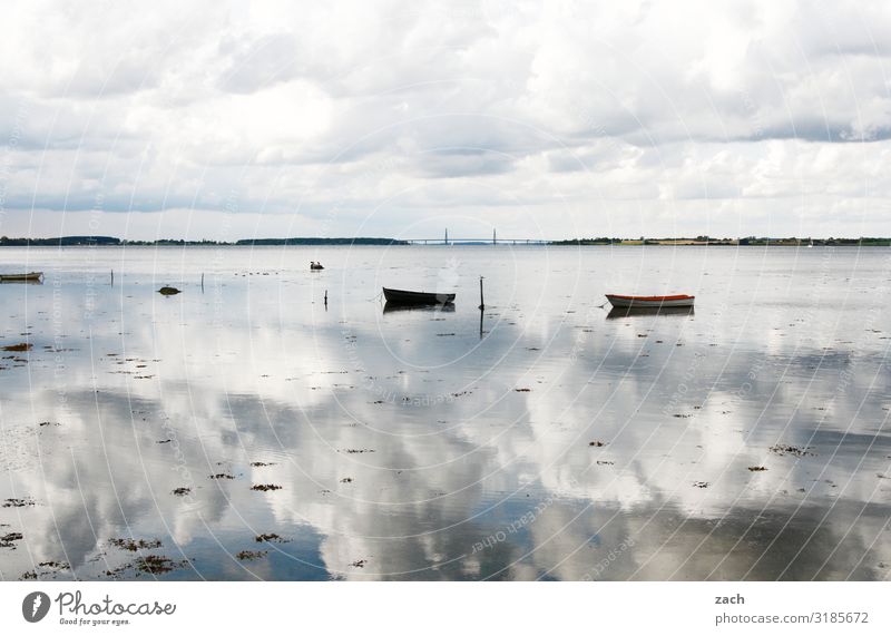 weitsichtig | 100% bewölkt Landschaft Wasser Himmel Wolken Küste Seeufer Fjord Ostsee Meer Insel Dänemark Bootsfahrt Fischerboot Ruderboot Schwimmen & Baden