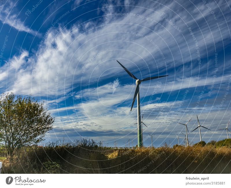 Windräder mit fluffigen Wolken Windrad Windpark Himmel blau Wolkenhimmel Energiewirtschaft Erneuerbare Energie Umweltschutz Elektrizität umweltfreundlich
