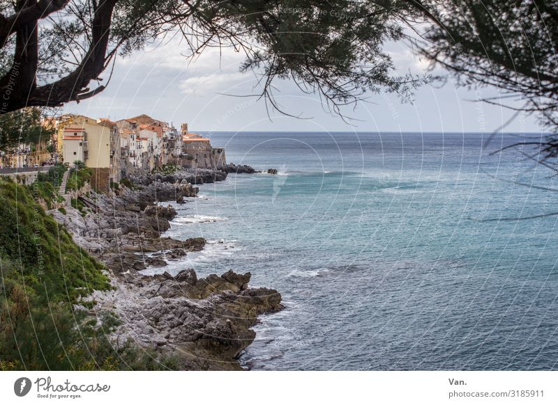 Cefalù² Ferien & Urlaub & Reisen Ferne Natur Landschaft Wasser Himmel Wolken Sommer Schönes Wetter Baum Ast Felsen Wellen Küste Meer Cefalú Sizilien Italien