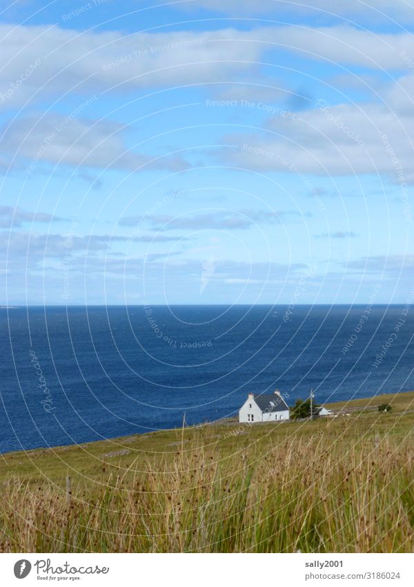 Das Haus am Ende der Welt... Natur Sommer Schönes Wetter Wiese Hügel Küste Meer Atlantik Schottland Einfamilienhaus Traumhaus authentisch außergewöhnlich Ferne