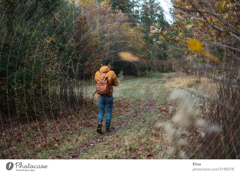 Ein Mann der draußen im Wald alleine spazieren geht Mensch Spaziergang Junger Mann Selbstisolierung Jugendliche Erwachsene 18-30 Jahre social distancing Natur