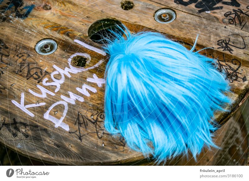 Puschelpunx II | UT HH19 Friseur Dienstleistungsgewerbe Accessoire Perücke Punk Holz Schriftzeichen frech Freundlichkeit Fröhlichkeit trendy einzigartig blau