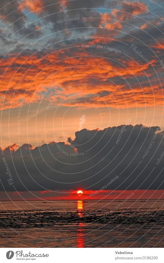 Abend am Watt Sonne Meer Wellen Landschaft Wasser Wolken Sonnenaufgang Sonnenuntergang Küste Nordsee blau mehrfarbig gold grau orange rosa rot schwarz