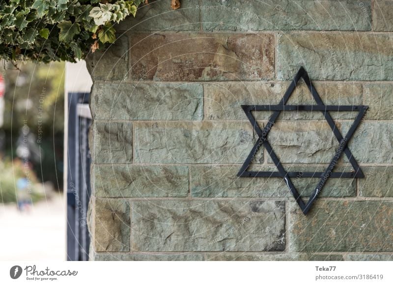 Der jüdische Friedhof Zeichen Ornament Schilder & Markierungen Hinweisschild Warnschild Senior Judentum Judenstern Farbfoto Außenaufnahme