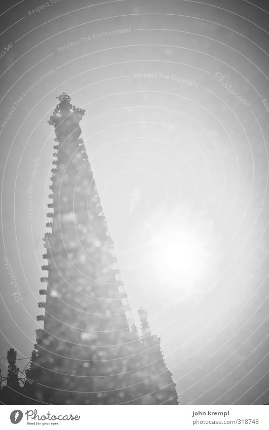 Einzelgänger | Südturm Wien Österreich Hauptstadt Altstadt Kirche Dom Bauwerk Gebäude Turm Turmspitze Sehenswürdigkeit Wahrzeichen Stephansdom leuchten