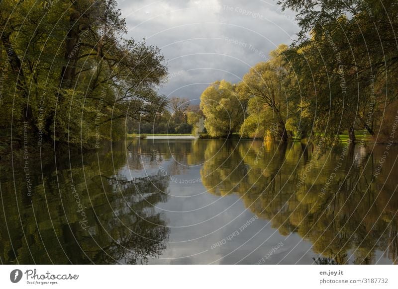 Altrhein Natur Landschaft Himmel Herbst Weide Wald Flussufer See Rheinauen Flußauen grün Idylle Symmetrie Hochwasser Farbfoto Außenaufnahme Menschenleer Tag