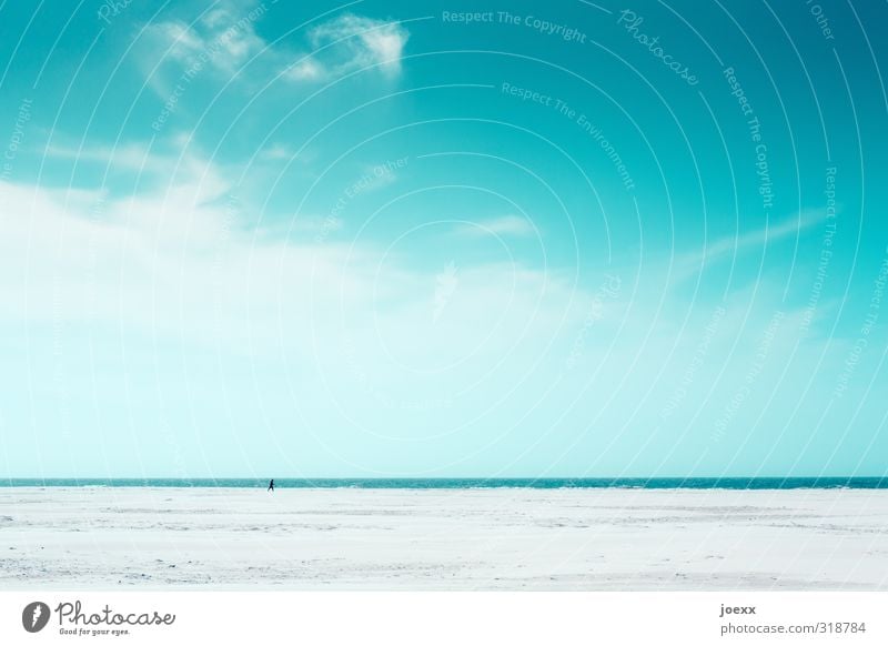 Wilson 1 Mensch Natur Himmel Wolken Horizont Schönes Wetter Strand blau grau weiß Einsamkeit Farbfoto Außenaufnahme Tag Weitwinkel