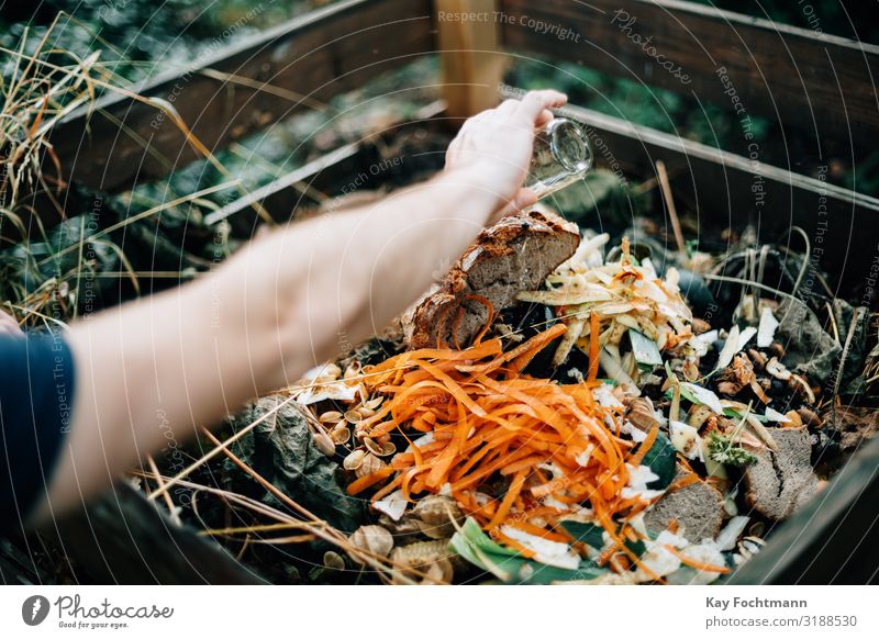 menschliche Hand schüttet Wasser auf organischen Komposthaufen Ackerbau biologisch Bionomik Brot Karotten Kompostierung Erhaltung Verwesung verrotten Müllhalde