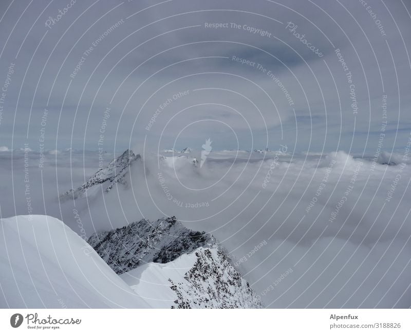 Gau in grau in grau Klima Klimawandel Eis Frost Felsen Alpen Berge u. Gebirge Kanton Wallis Gipfel Schneebedeckte Gipfel Gletscher Coolness kalt Glück