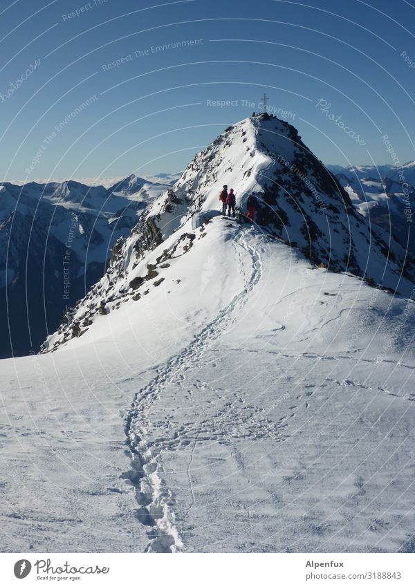 Eiszeit | Wildspitze Umwelt Landschaft Klima Klimawandel Schönes Wetter Frost Hügel Felsen Alpen Berge u. Gebirge Bundesland Tirol Gipfel Schneebedeckte Gipfel
