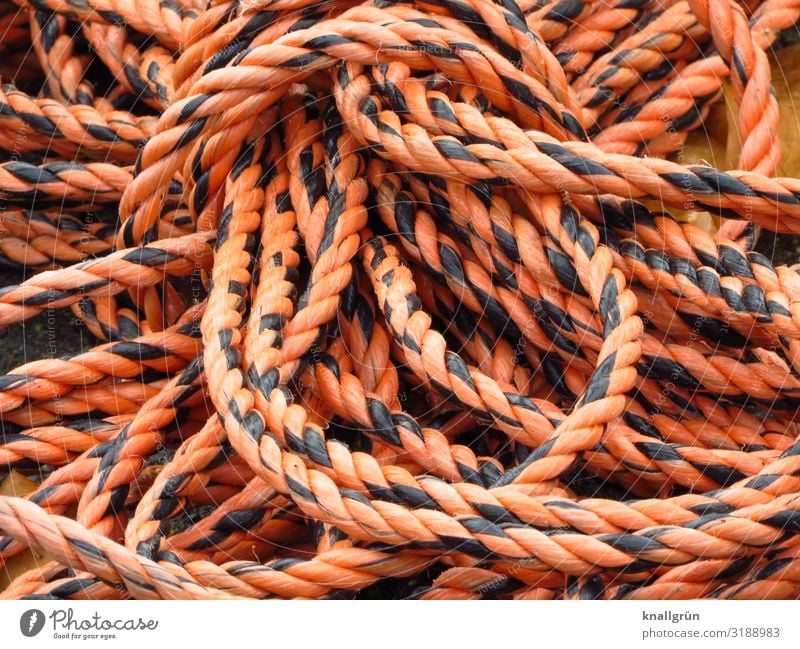 Fallstrick Seil liegen orange schwarz Warnfarbe Trosse Schlaufe Kardeel geflochten zweifarbig Farbfoto Außenaufnahme Menschenleer