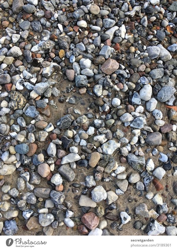 Autsch! Autsch! Autsch! Kieselsteine Kieselstrand Kiesgrube Steine Strand Muster kiesbedeckt Kiesbett bunt minimalistisch Sand pieksig steinig steiniger weg